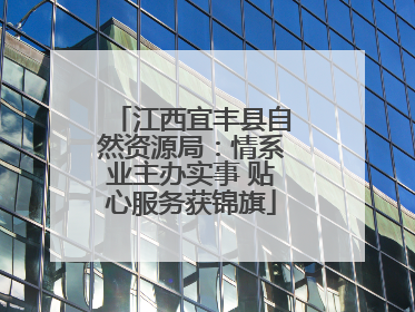 江西宜丰县自然资源局：情系业主办实事 贴心服务获锦旗