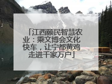 江西颐民智慧农业：乘文博会文化快车，让宁都黄鸡走进千家万户