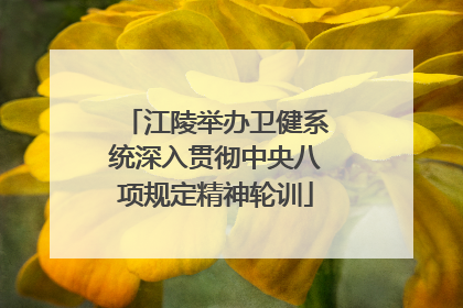 江陵举办卫健系统深入贯彻中央八项规定精神轮训