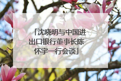 沈晓明与中国进出口银行董事长陈怀宇一行会谈