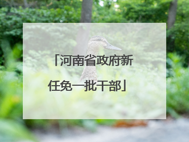 河南省政府新任免一批干部