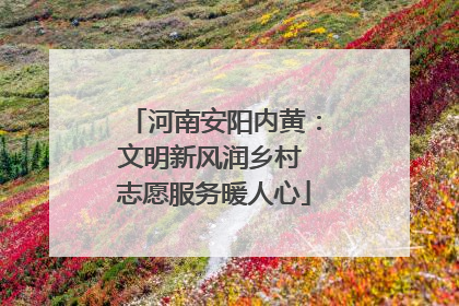 河南安阳内黄：文明新风润乡村 志愿服务暖人心