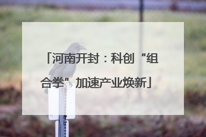 河南开封：科创“组合拳”加速产业焕新