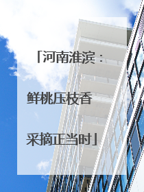 河南淮滨：鲜桃压枝香 采摘正当时