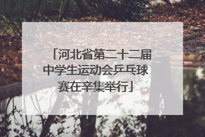 河北省第二十二届中学生运动会乒乓球赛在辛集举行
