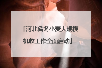 河北省冬小麦大规模机收工作全面启动
