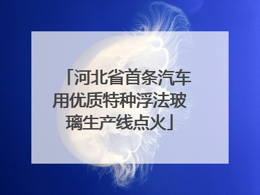 河北省首条汽车用优质特种浮法玻璃生产线点火