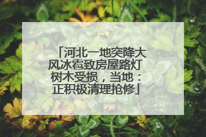 河北一地突降大风冰雹致房屋路灯树木受损，当地：正积极清理抢修