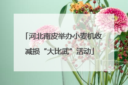 河北南皮举办小麦机收减损“大比武”活动