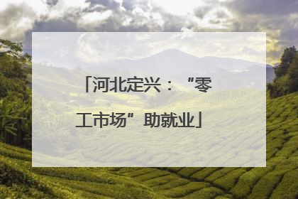 河北定兴：“零工市场”助就业