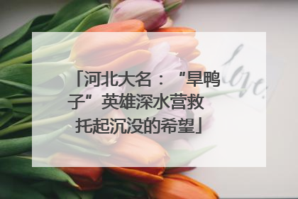 河北大名：“旱鸭子”英雄深水营救 托起沉没的希望