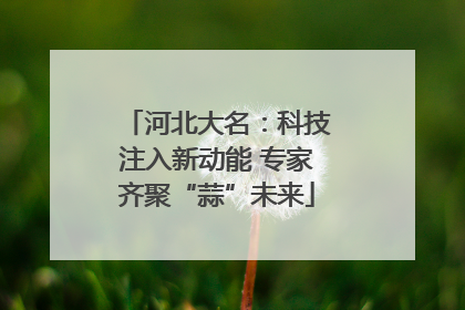 河北大名：科技注入新动能 专家齐聚“蒜”未来