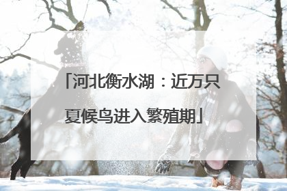 河北衡水湖：近万只夏候鸟进入繁殖期
