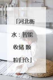 河北衡水：智能收储 颗粒归仓