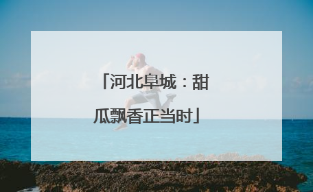 河北阜城：甜瓜飘香正当时