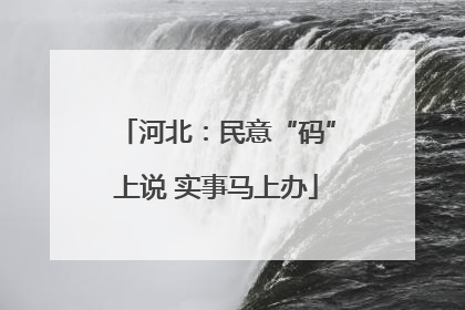 河北：民意“码”上说 实事马上办