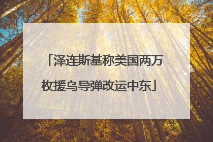 泽连斯基称美国两万枚援乌导弹改运中东