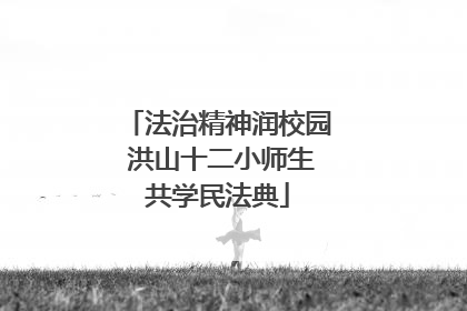 法治精神润校园 洪山十二小师生共学民法典
