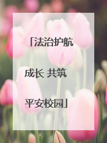 法治护航成长 共筑平安校园
