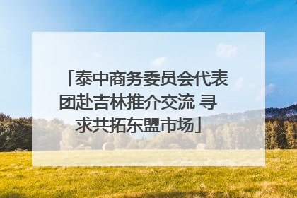 泰中商务委员会代表团赴吉林推介交流 寻求共拓东盟市场
