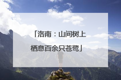 洛南：山间树上栖息百余只苍鹭