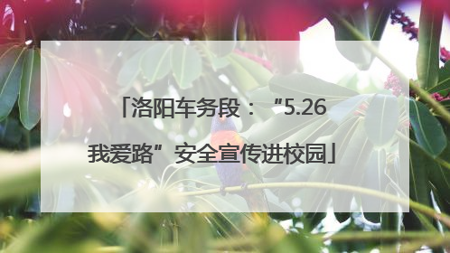 洛阳车务段：“5.26我爱路”安全宣传进校园