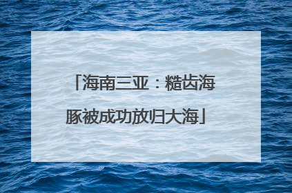 海南三亚：糙齿海豚被成功放归大海