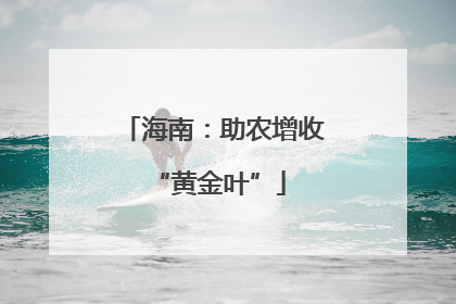 海南：助农增收 “黄金叶”