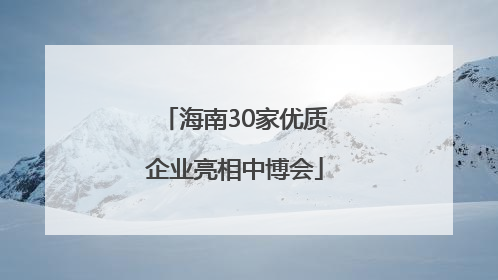 海南30家优质企业亮相中博会