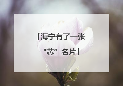 海宁有了一张“芯”名片