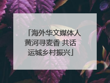 海外华文媒体人黄河寻麦香 共话运城乡村振兴