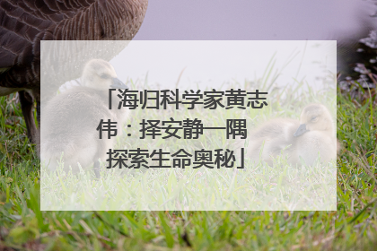 海归科学家黄志伟：择安静一隅 探索生命奥秘