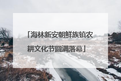 海林新安朝鲜族镇农耕文化节圆满落幕