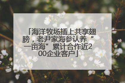 海洋牧场插上共享翅膀，老尹家海参认养“一亩海”累计合作近200企业客户