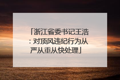 浙江省委书记王浩：对顶风违纪行为从严从重从快处理