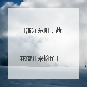 浙江东阳：荷花盛开采摘忙