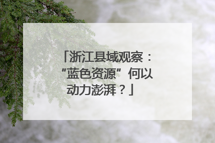 浙江县域观察：“蓝色资源”何以动力澎湃？