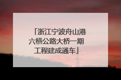 浙江宁波舟山港六横公路大桥一期工程建成通车