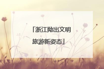 浙江拗出文明旅游新姿态