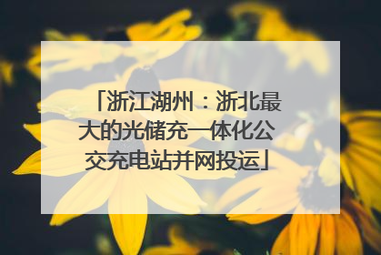 浙江湖州：浙北最大的光储充一体化公交充电站并网投运