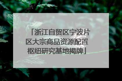 浙江自贸区宁波片区大宗商品资源配置枢纽研究基地揭牌