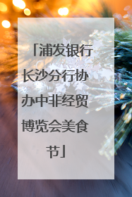 浦发银行长沙分行协办中非经贸博览会美食节