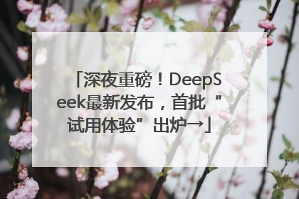 深夜重磅！DeepSeek最新发布，首批“试用体验”出炉→