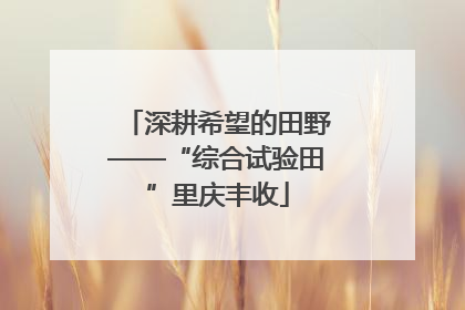深耕希望的田野——“综合试验田”里庆丰收
