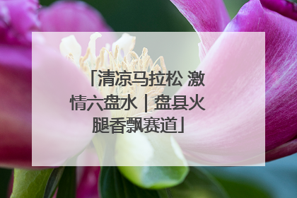 清凉马拉松 激情六盘水｜盘县火腿香飘赛道