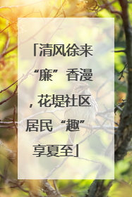 清风徐来“廉”香漫，花堤社区居民“趣”享夏至