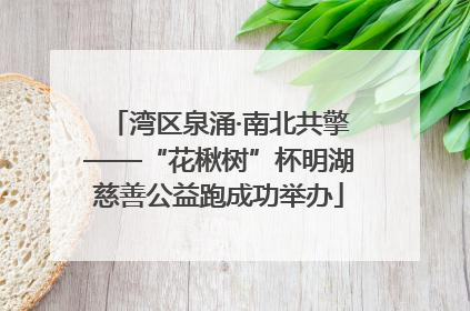 湾区泉涌·南北共擎——“花楸树”杯明湖慈善公益跑成功举办