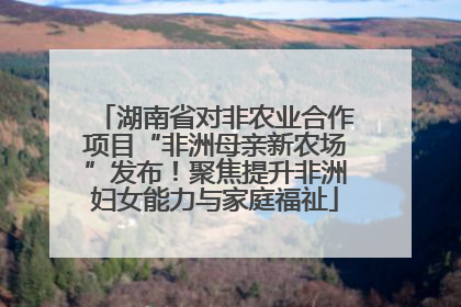 湖南省对非农业合作项目“非洲母亲新农场”发布！聚焦提升非洲妇女能力与家庭福祉