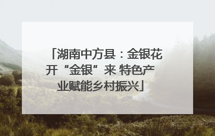 湖南中方县：金银花开“金银”来 特色产业赋能乡村振兴