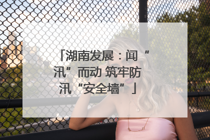 湖南发展：闻“汛”而动 筑牢防汛“安全墙”